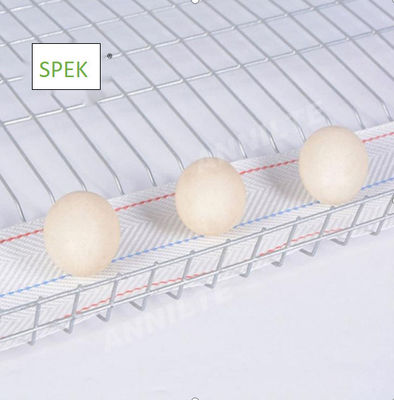kopen anti-UV- en anti-aging-eiertransportband voor het eierenverzamelingssysteem van pluimveehouderijen online manufacture