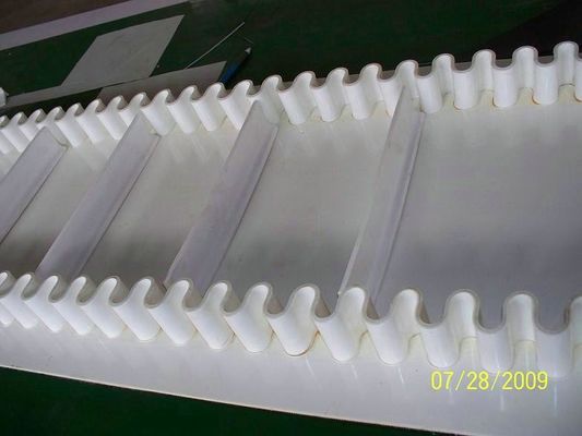 kopen Zijwandtransportband voor de voedselindustrie van de fabriek van China voor vrije steekproeven online manufacture