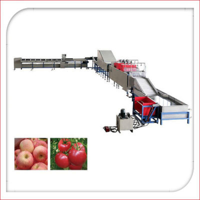 Automatische Elektronische Fruit Was en het In de was zetten Machine 5MT/H