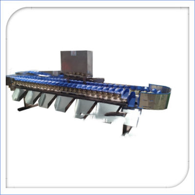 Automatische elektronische vruchtsorter en weegmachine