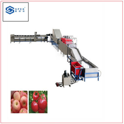 Tomaat/Avocado/Sinaasappel/Apple-Gewichtssorteermachine en Gewichtsklassemachine