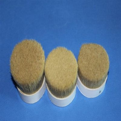 Het dubbele Natuurlijke Gekookte Varkenshaar voor Verf borstelt de Zuivere Gepaste kleur van het Beervarkenshaar