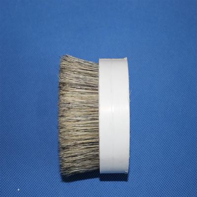 Gekookte Hankow zet Grijs Dubbel Gekookt Varkensvarkenshaar 51mm voor de Borstels van de Voedselverf overeind