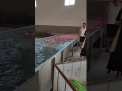 Fruit die en machine schoonmaken kiezen