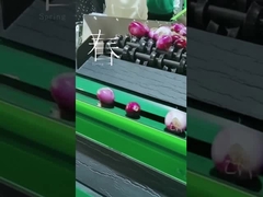 Fruit die en machine schoonmaken kiezen