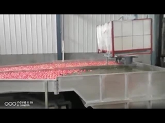 de sorteermachine van de fruitwas/gewichtssorteermachine voor Fruit
