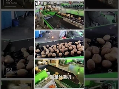 Pas de Nivelleermachine van de Fruitgroente aan