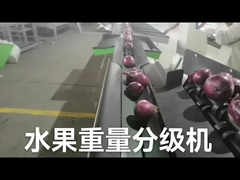 De automatische elektronische fruitsorteerder en weegt machine