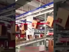 Kartonverpakkingssysteem voor verpakkingshuis