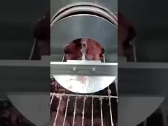 PU visbotenscheidingsgordel, botverwijderingsband, transportband